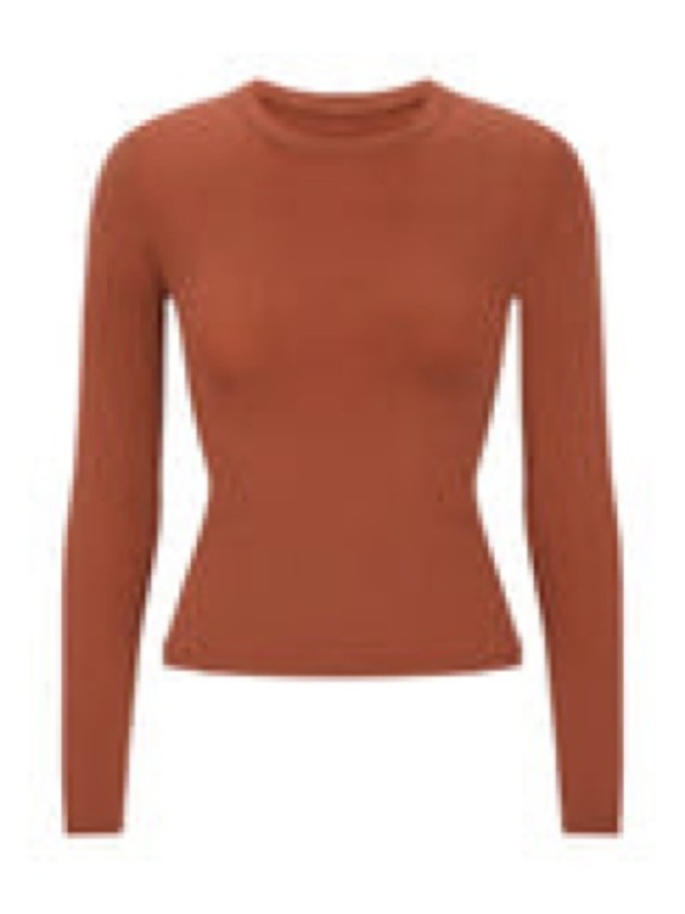 SKIMS Long Sleeve Crewneck Top in Rusty Brown